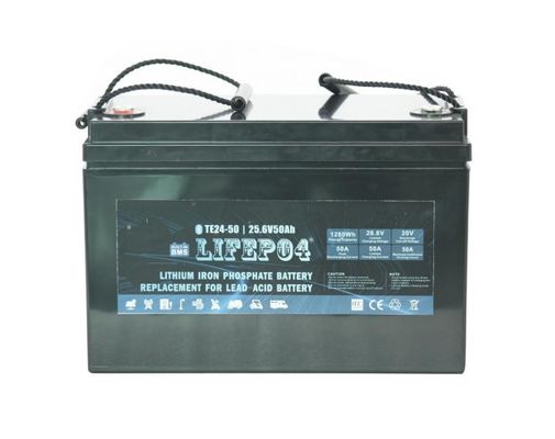 литий BMS батареи Lifepo4 24V 42AH портативный для замены свинцовокислотного